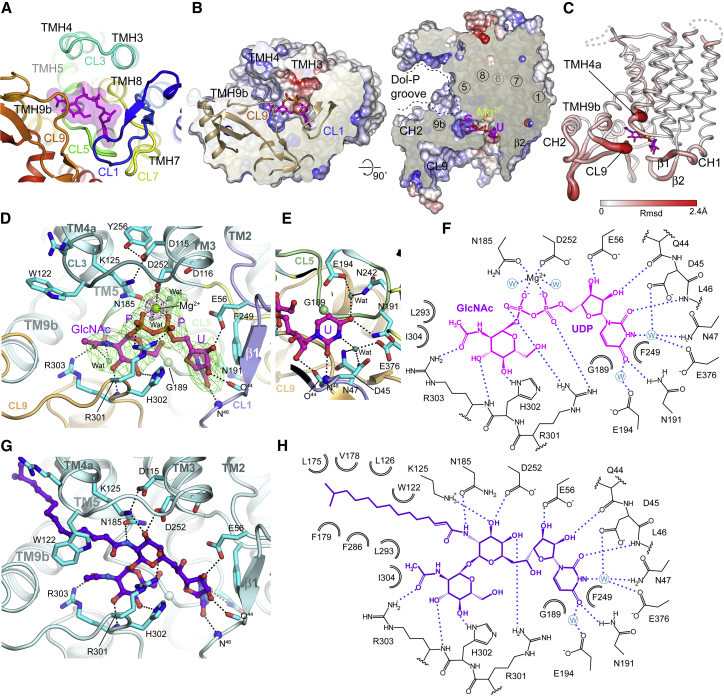 Figure 2