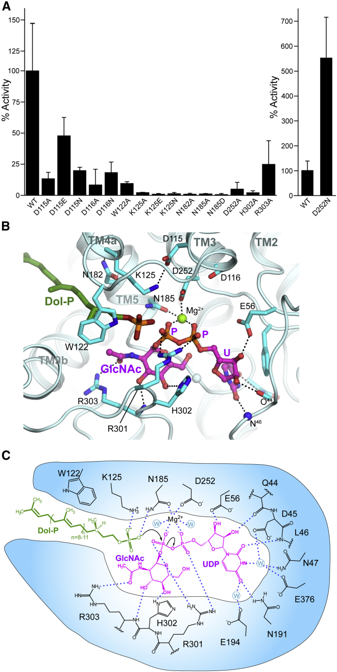 Figure 3