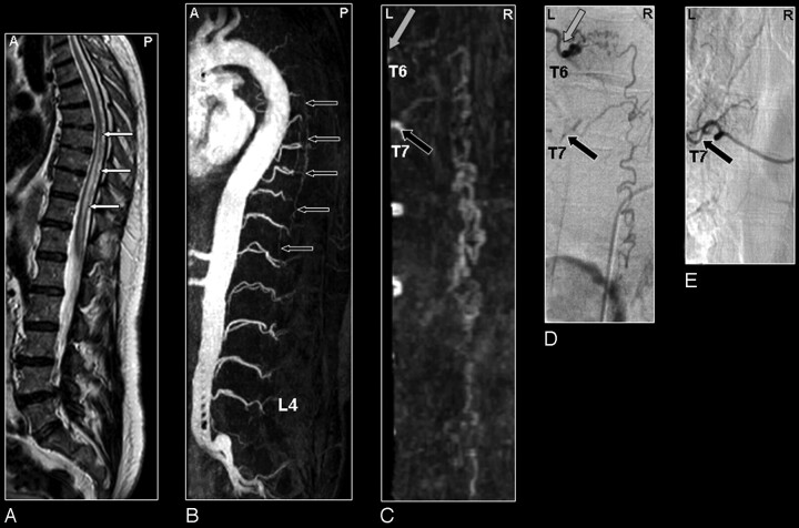 Fig 4.