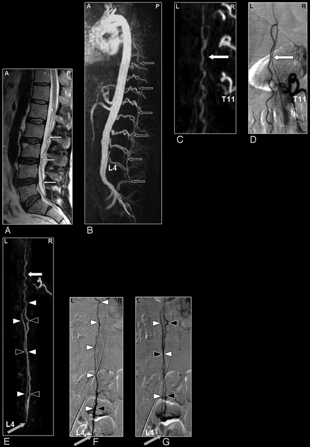 Fig 6.