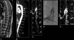 Fig 1.