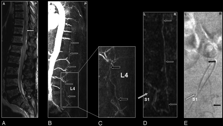 Fig 3.