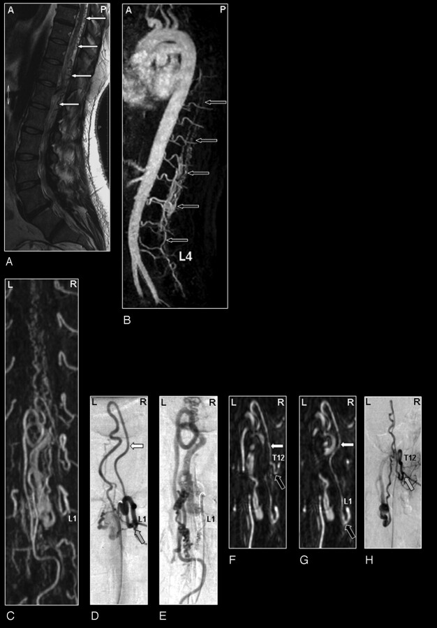 Fig 5.