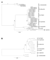 Figure 3 -