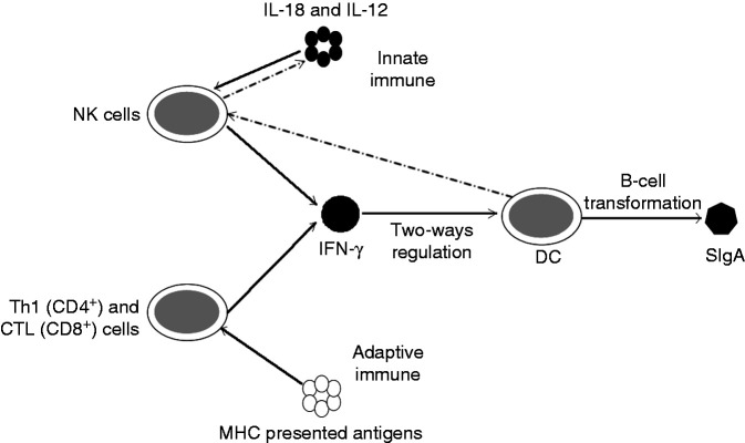 Figure 6.