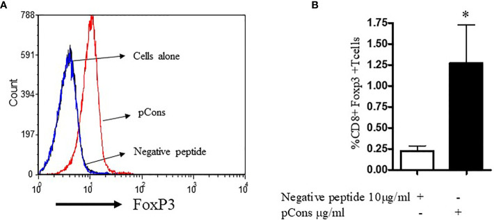 Figure 5