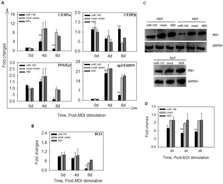 Fig 6