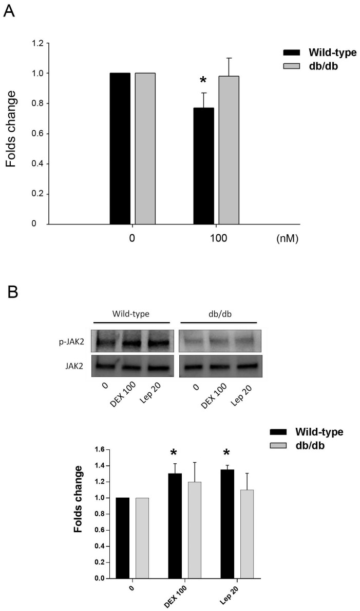 Fig 5