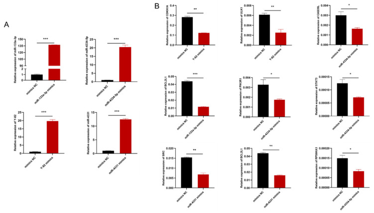 Figure 6