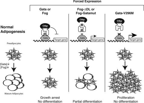 FIGURE 10.