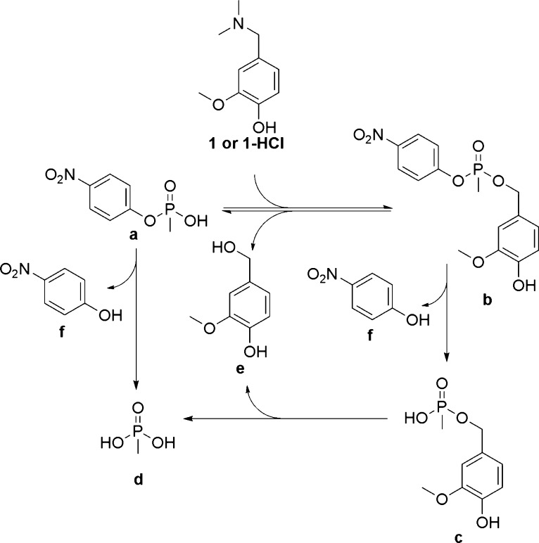 Scheme 5