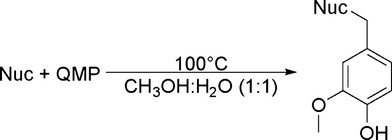 Scheme 4