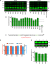 FIG 2