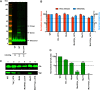 FIG 3