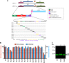 FIG 1