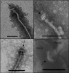 FIG. 4.