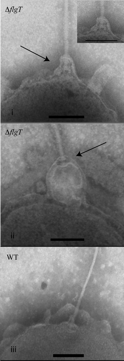 FIG. 5.