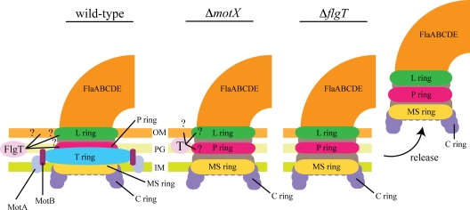 FIG. 7.