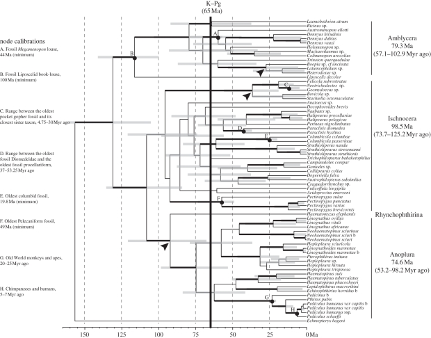 Figure 1.