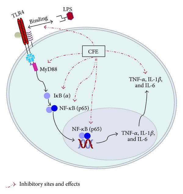 Figure 7