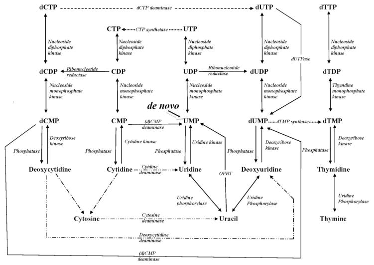 Fig. 6