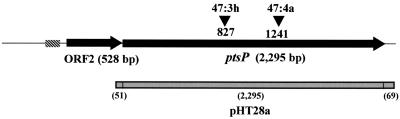 FIG. 1