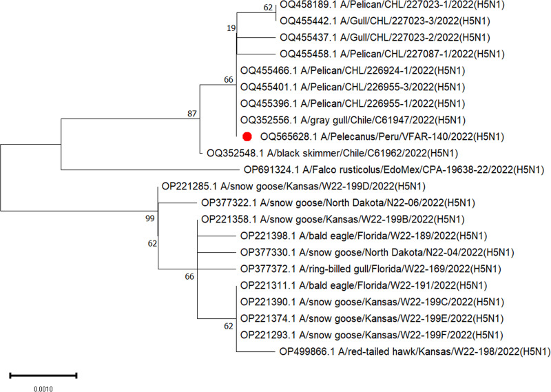 FIG 1