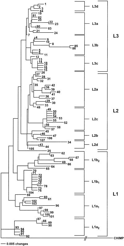 Figure  3