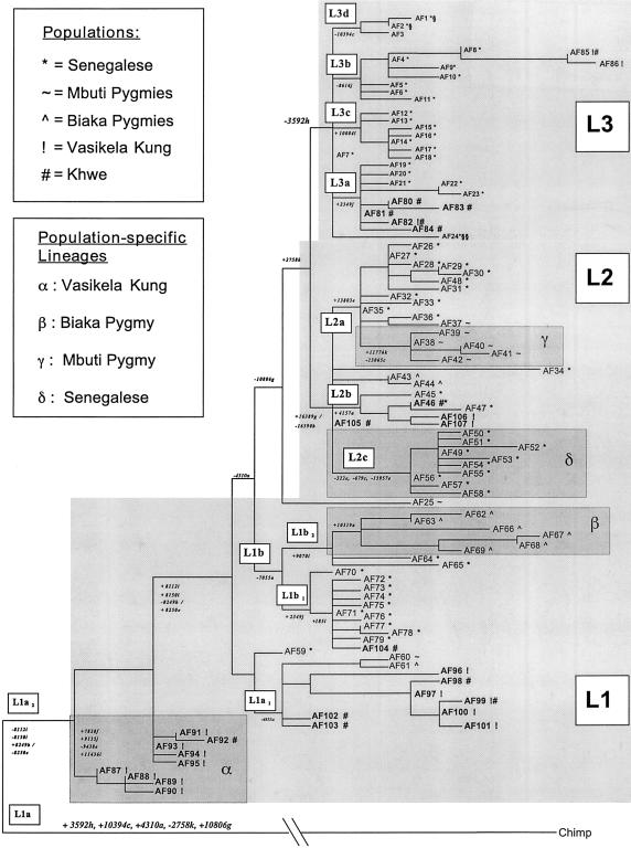 Figure  2