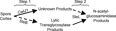 FIG. 8.