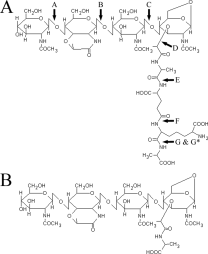 FIG. 7.