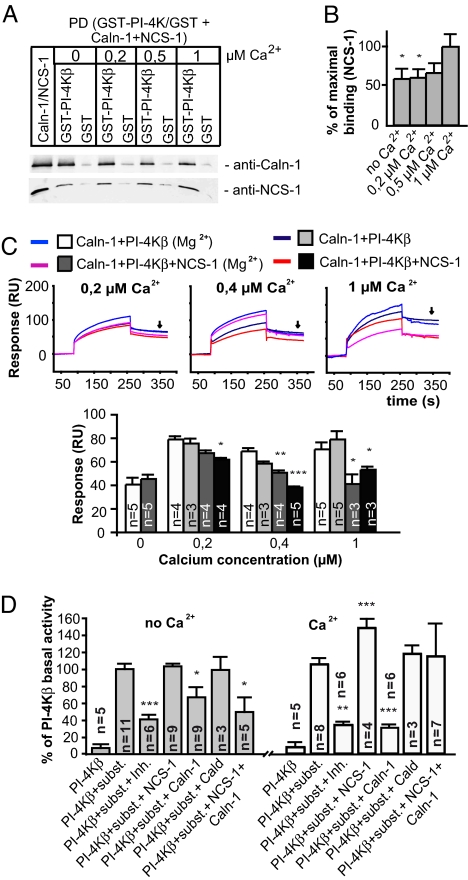 Fig. 2.