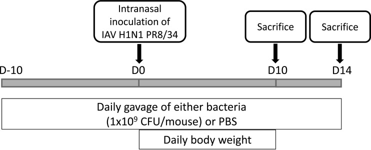 Fig 5