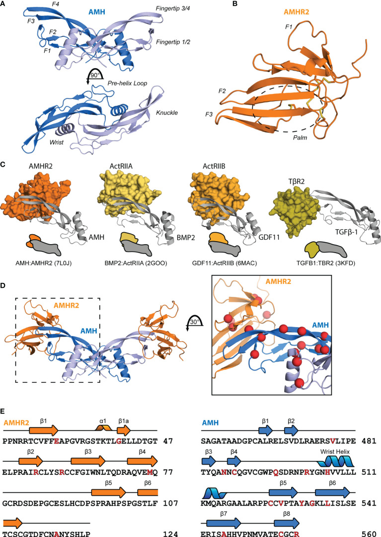 Figure 2