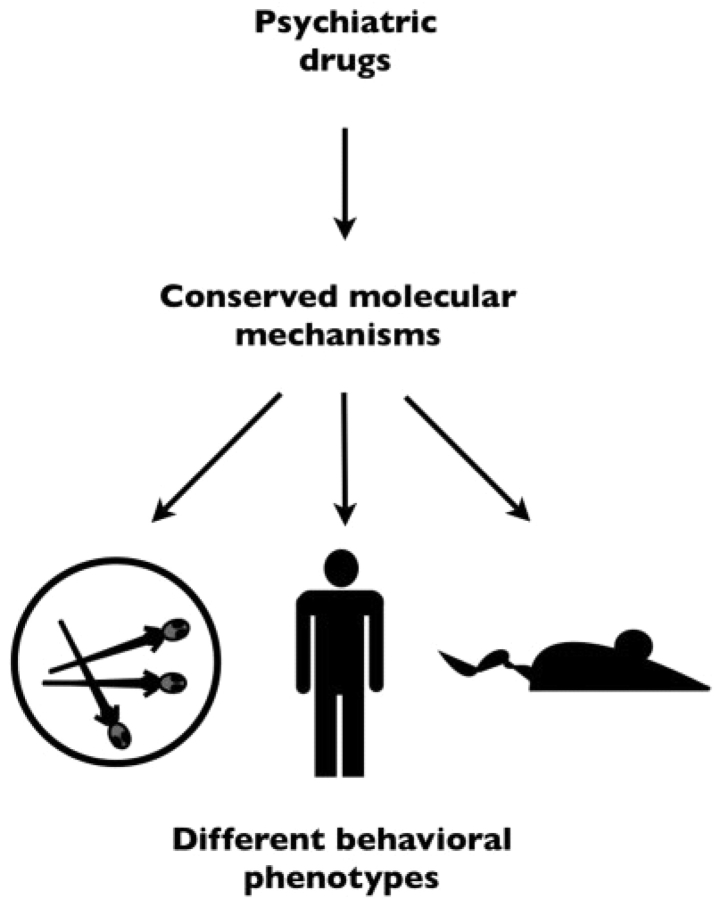 Figure 2: