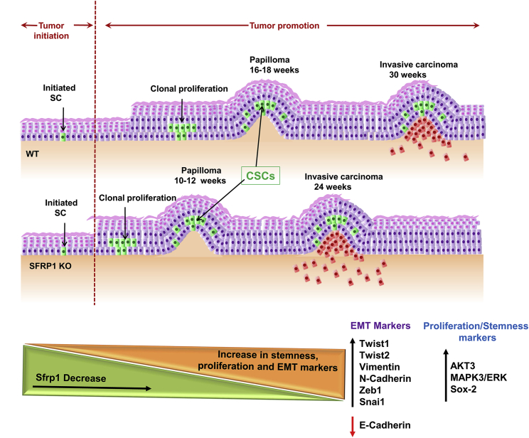 Figure 7