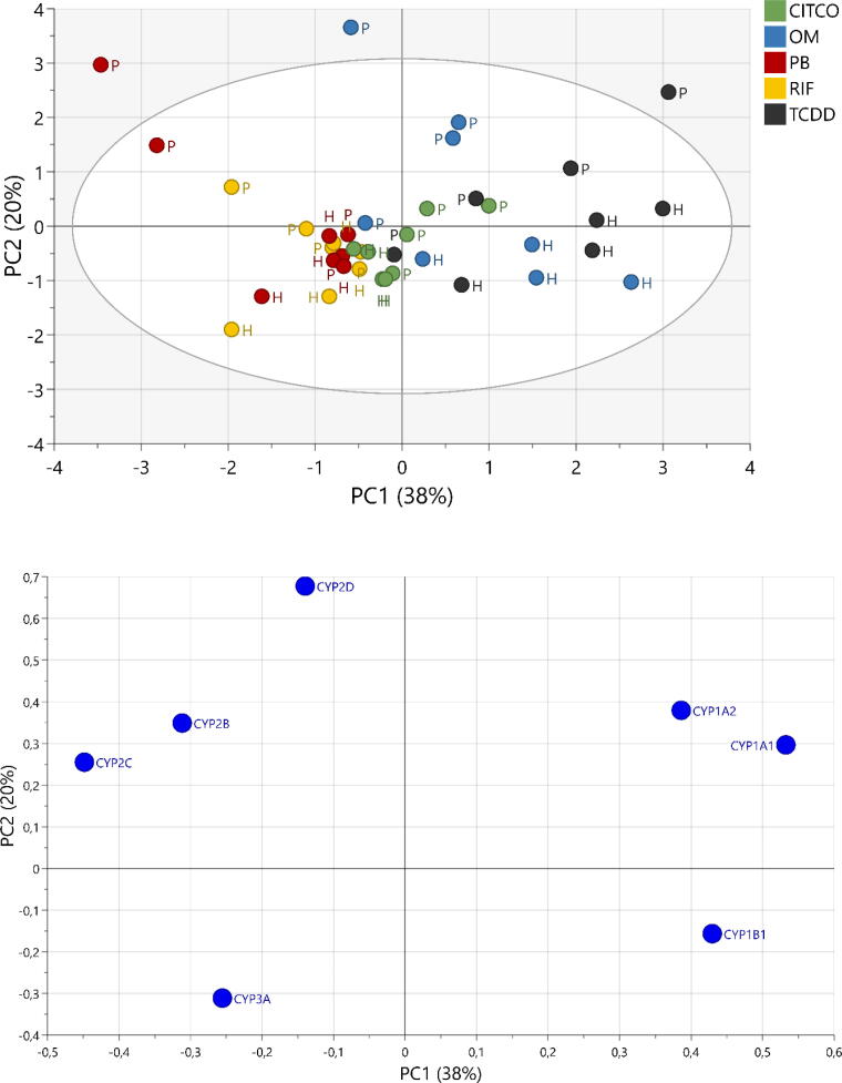 Fig. 6