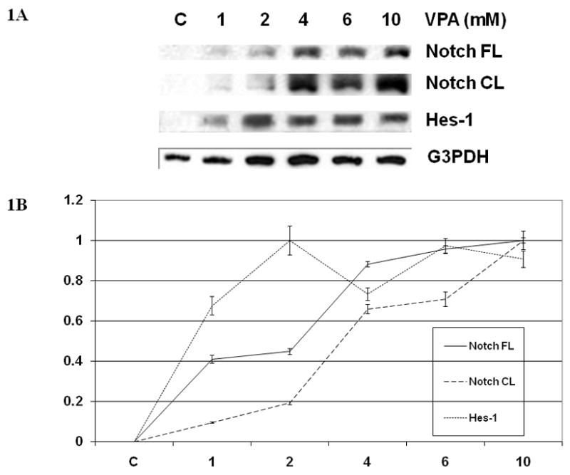 FIG 1