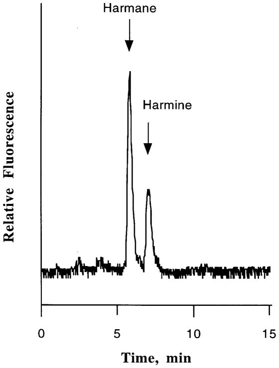 FIGURE 3