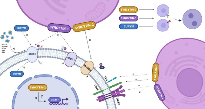 Fig. 4