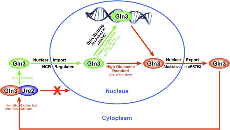 Figure 14