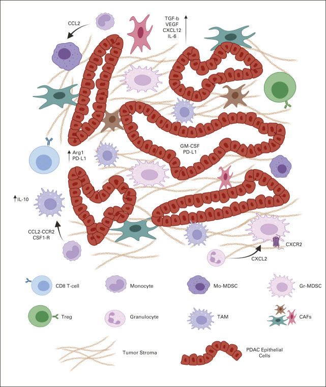 FIG 2.