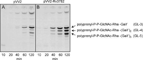 FIG. 4.