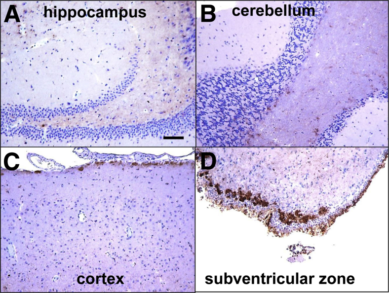 Figure 5