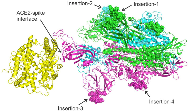 Figure 2.