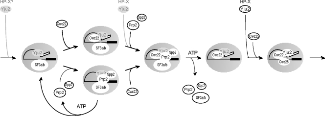 FIG. 7.