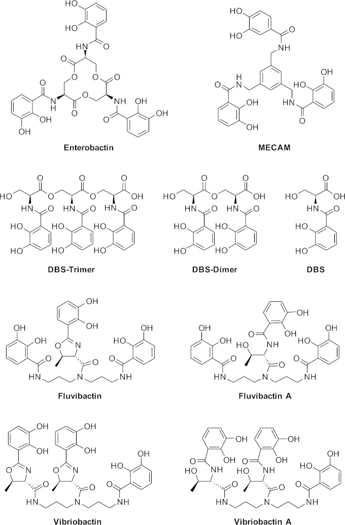 FIG 1