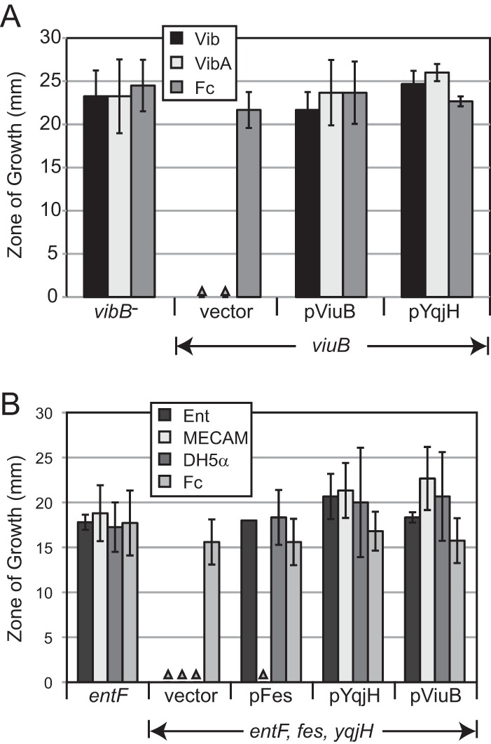 FIG 3