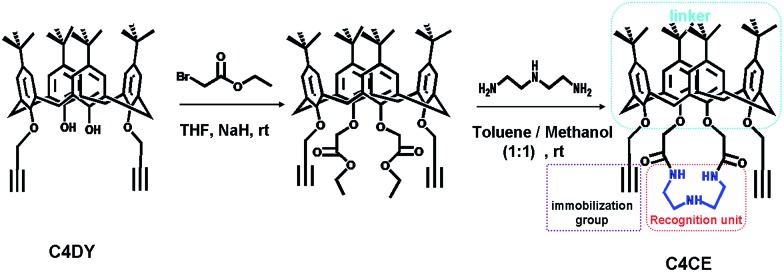 Scheme 1