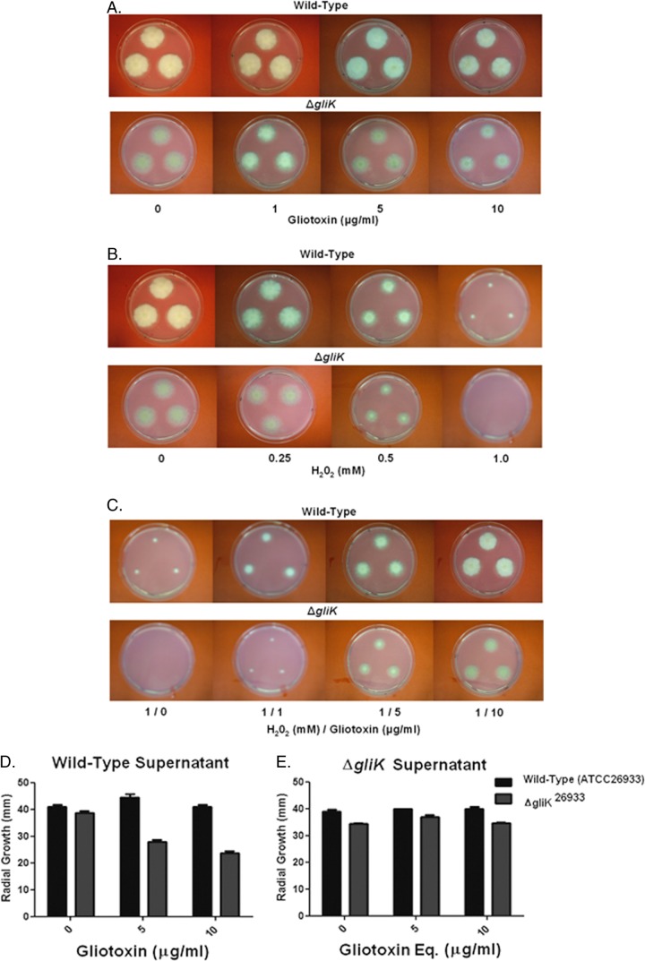 Fig 3